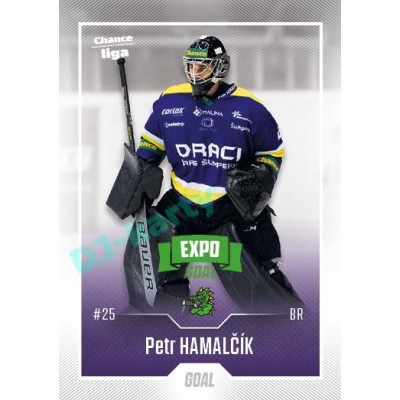 2022/23 Goal Cards Chance Liga 1. série #172 Petr Hamalčík Expo Green x/4