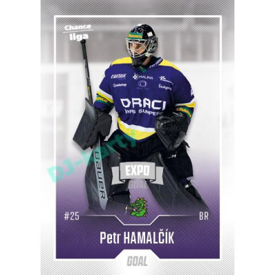 2022/23 Goal Cards Chance Liga 1. série #172 Petr Hamalčík Expo Ostrava SILVER 1of2