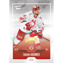 2022/23 Goal Cards Chance Liga 1. série #134 Jakub Adámek Expo Ostrava GOLD 1of2