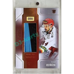 2022/23 Goal Cards Chance #S-09 David Ostřížek Game Used Stick 1of2 EXPO PROMO
