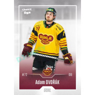 2022/23 Goal Cards Chance Liga 2. série #205 Adam Dvořák