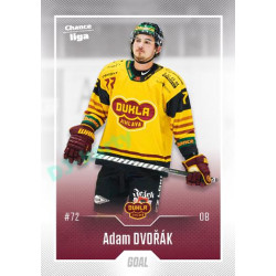 2022/23 Goal Cards Chance Liga 2. série #205 Adam Dvořák