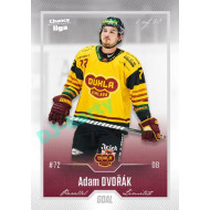 2022/23 Goal Cards Chance Liga 2. série #205 Adam Dvořák Silver 1 of 60
