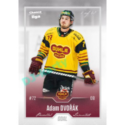 2022/23 Goal Cards Chance Liga 2. série #205 Adam Dvořák Silver 1 of 60