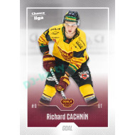 2022/23 Goal Cards Chance Liga 2. série #208 Richard Cachnín
