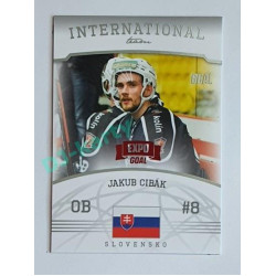2022/23 Goal Cards Chance #IT-07 Jakub Cibák International Team Expo x/3