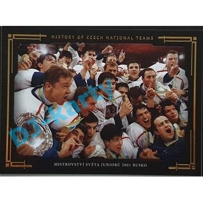 2020 OFS SSČH Mistrovství světa juniorů 2001 Rakousko #HCNT-50 04/10 History of Czech National Teams Gold