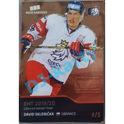 2020 MK reprezentace David Sklenička #34 4/5 Red Czech Expo