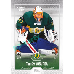 2022/23 Goal Cards Chance Liga 2. série #217 Tomáš Vošvrda Silver 1 of 60