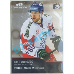 2020 MK reprezentace Vojtěch Mozík EHT #21
