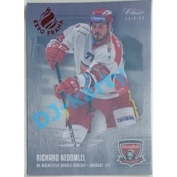 2019/20 OFS Richard Nedomlel #84 Silver Rainbow Expo Praha /10
