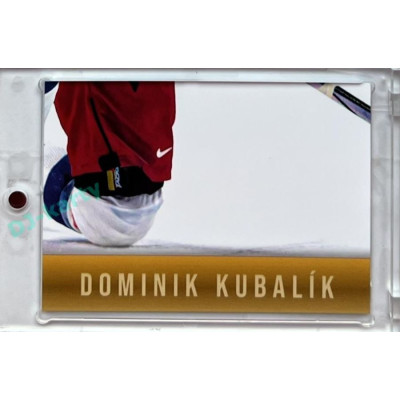 2024 LC Golden Prague Belongs to us #DK-08 Dominik Kubalík JIGSAW Puzzle