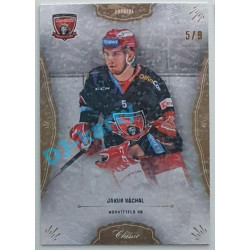 2020/21 OFS 2. série Jakub Váchal #325 5/9 Jungle