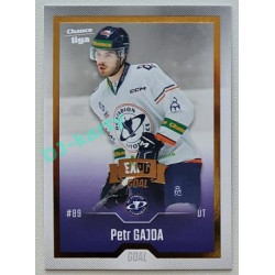 2022/23 Goal Cards Chance Liga 2. série #272 Petr Gajda Expo Gold 1 of 3