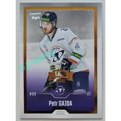 2022/23 Goal Cards Chance Liga 2. série #272 Petr Gajda Expo Gold 1 of 3