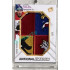 2023 MK reprezentace #NE-16 David Tomášek National Emblem 5/9