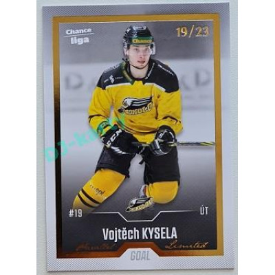 2022/23 Goal Cards Chance Liga Update #423 Vojtěch Kysela Gold xx/23