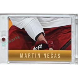 2024 LC Golden Prague Belongs to us #MN-08 Martin Nečas JIGSAW Puzzle