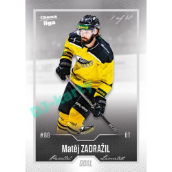 2022/23 Goal Cards Chance Liga 2. série #242 Matěj Zadražil Silver 1 of 60