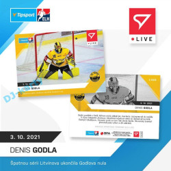 2021/22 Sportzoo Denis Godla #20 xx/95