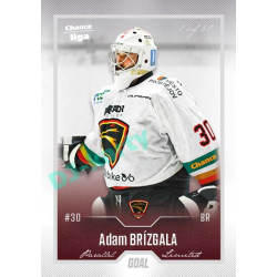 2022/23 Goal Cards Chance Liga 2. série #245 Adam Brízgala Silver 1 of 60