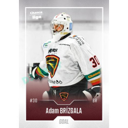2022/23 Goal Cards Chance Liga 2. série #245 Adam Brízgala