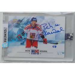 2021 MK Gamers 2 Petr Koukal #19 4/8