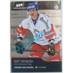 2020 MK reprezentace Andrej Nestrašil EHT #24