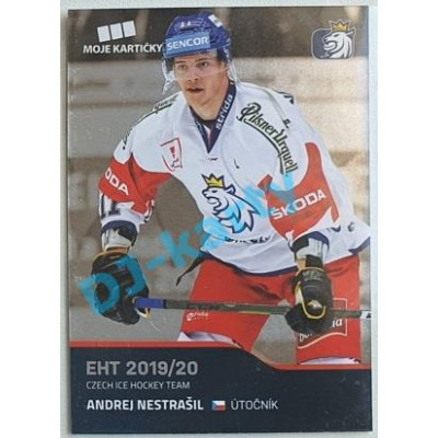2020 MK reprezentace Andrej Nestrašil EHT #24