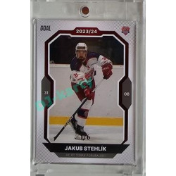 2023/24 Goal cards Chance Liga 2. série #264 Jakub Stehlík Red 1/6