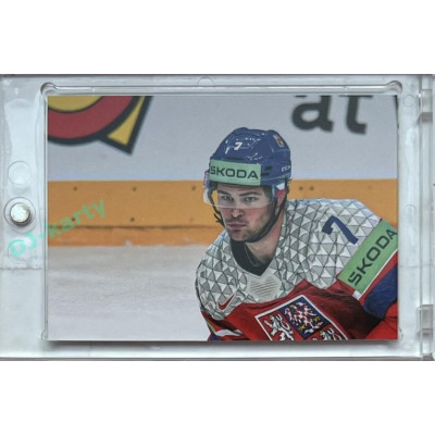 2024 LC Golden Prague Belongs to us #DŠ-02 Daniel Špaček JIGSAW Puzzle