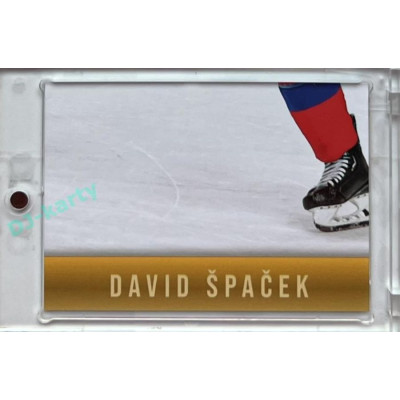 2024 LC Golden Prague Belongs to us #DŠ-08 Daniel Špaček JIGSAW Puzzle