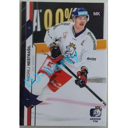 2021 MK reprezentace Andrej Nestrašil EHT #26 3/5 Blue