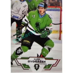 2023/24 Sportzoo ELH 2. serie #333 David Dvořáček