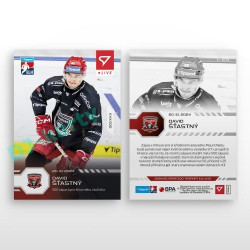 2024/25 Sportzoo ELH LIVE #L-25 David Šťastný xx/31