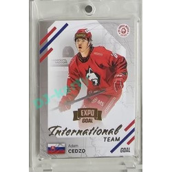 2023/24 Goal cards Chance Liga 2. série #IN-24 Adam Cedzo International Expo 1of6