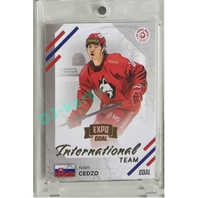 2023/24 Goal cards Chance Liga 2. série #IN-24 Adam Cedzo International Expo 1of6