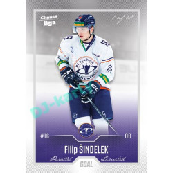 2022/23 Goal Cards Chance Liga 2. série #263 Filip Šindelek Silver 1 of 60