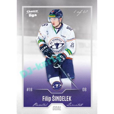 2022/23 Goal Cards Chance Liga 2. série #263 Filip Šindelek Silver 1 of 60