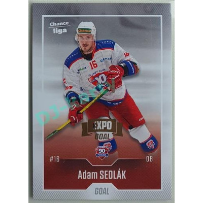 2022/23 Goal Cards Chance Liga 1. série #159 Adam Sedlák Expo Pardubice