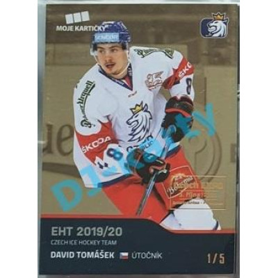 2020 MK reprezentace David Tomášek #35 1/5 Gold Czech Expo
