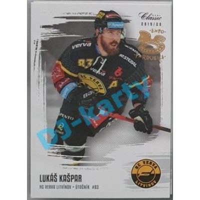 2019/20 OFS Lukáš Kašpar #196 xx/12 Expo Pard.