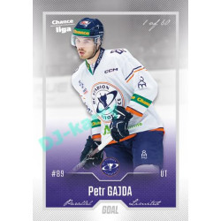 2022/23 Goal Cards Chance Liga 2. série #272 Petr Gajda Silver 1 of 60