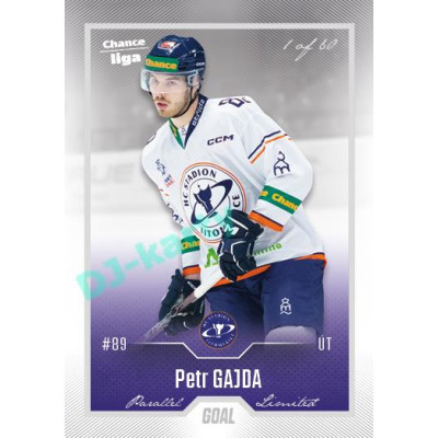 2022/23 Goal Cards Chance Liga 2. série #272 Petr Gajda Silver 1 of 60