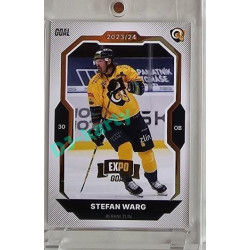 2023/24 Goal cards Chance Liga 2. série #203 Stefan Warg Expo Gold 1of7