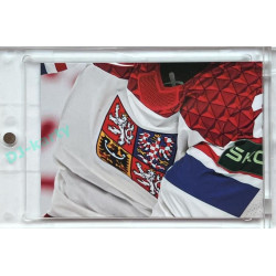2024 LC Golden Prague Belongs to us #LS-05 Lukáš Sedlák JIGSAW Puzzle