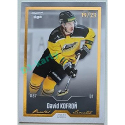 2022/23 Goal Cards Chance Liga Update #428 David Kofroň Gold xx/23