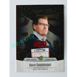 2022/23 Goal Cards Chance #C-22 David Švagrovský Coach