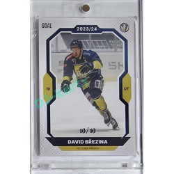 2023/24 Goal cards Chance Liga 1. série #111 David Březina Blue 10/10