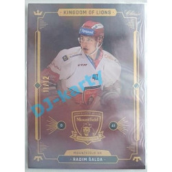 2021 OFS Kingdom of Lions Radim Šalda #B06 11/12 Rainbow